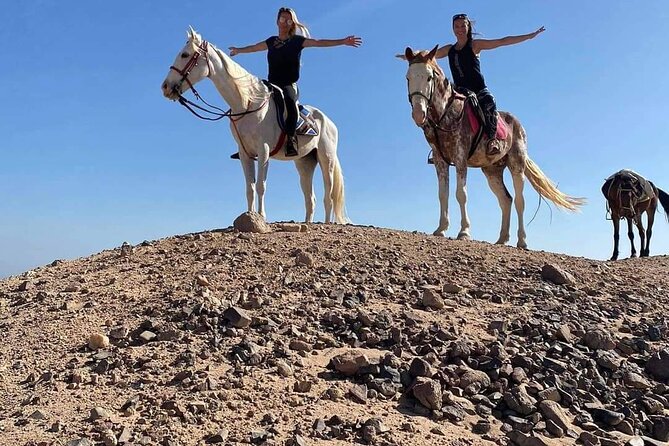 One Hour Horse or Camel Riding With Transfer- Sharm El-Sheikh - Confirmation and Accessibility Details