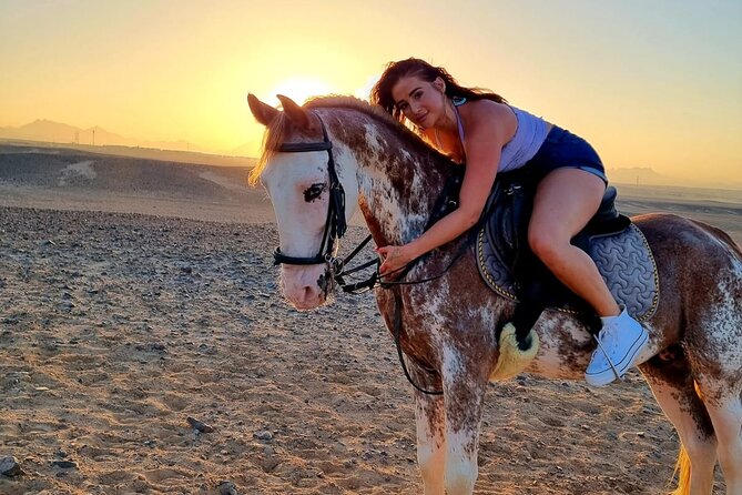One Hour Horse or Camel Riding With Transfer- Sharm El-Sheikh - Pricing and Group Size