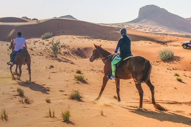 One Hour Horse or Camel Riding With Transfer- Sharm El-Sheikh - Cancellation Policy