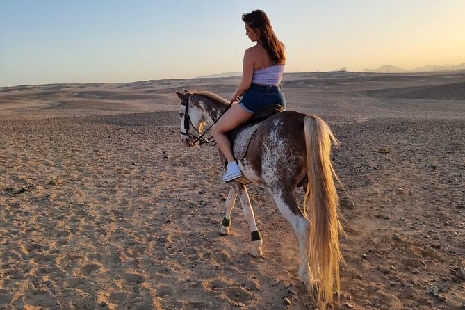 One Hour Horse or Camel Riding With Transfer- Sharm El-Sheikh - Additional Information