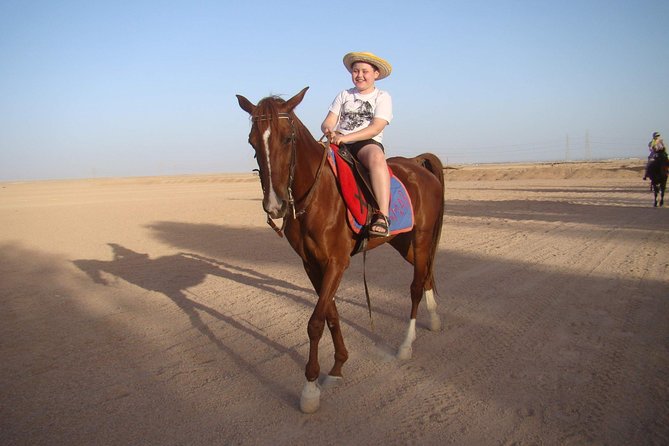 One Hour Horse Riding at Desert With Transfer - Sharm El Sheikh - Inclusions and Exclusions
