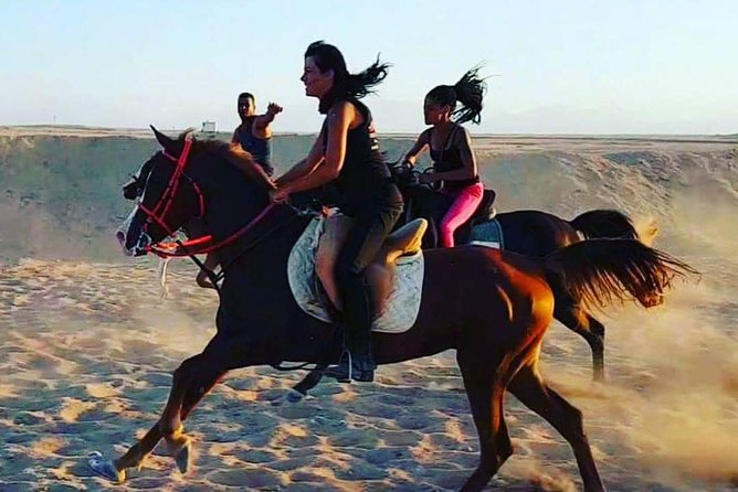 One Hour Horse Riding at Desert With Transfer - Sharm El Sheikh - Review Highlights and Concerns