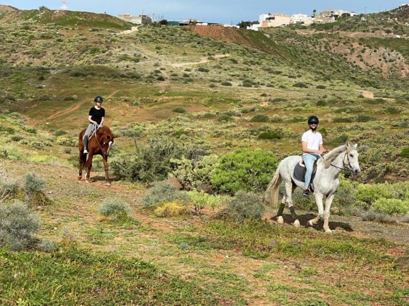 One Hour Horse Riding Tour in Gran Canaria - Whats Included