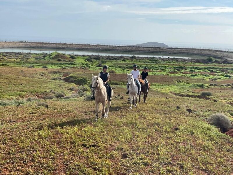 One Hour Horse Riding Tour in Gran Canaria - Important Details