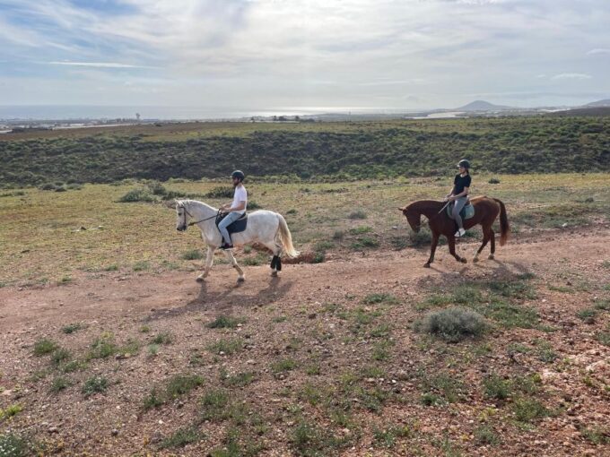 One Hour Horse Riding Tour in Gran Canaria - Customer Feedback