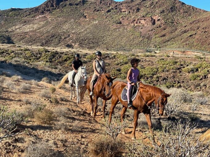 One Hour Horse Riding Tour in Gran Canaria - Meeting Point