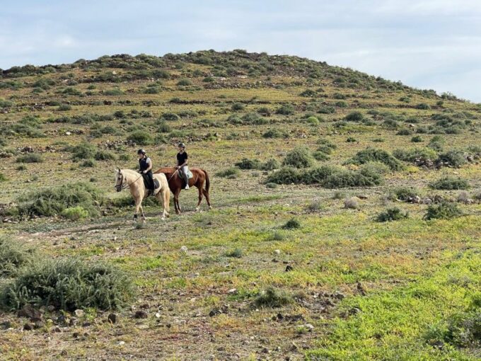 One Hour Horse Riding Tour in Gran Canaria - Frequently Asked Questions