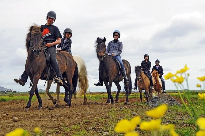 One-Hour Horseback Riding Tour in the Icelandic Countryside - Quick Points