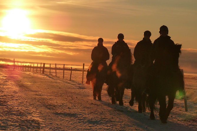 One-Hour Horseback Riding Tour in the Icelandic Countryside - Safety and Health Considerations