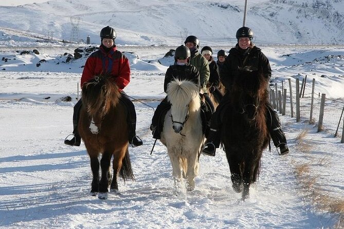 One-Hour Horseback Riding Tour in the Icelandic Countryside - Meeting Point and Transportation