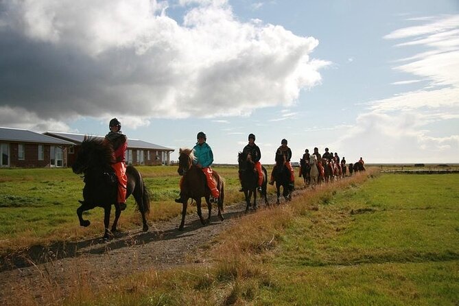One-Hour Horseback Riding Tour in the Icelandic Countryside - Exploring the Icelandic Countryside