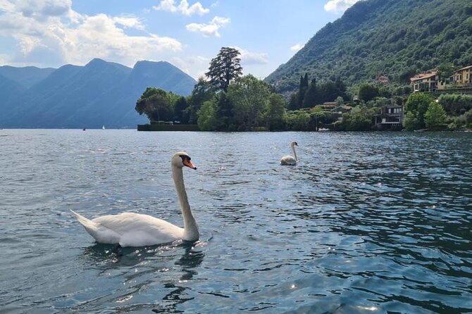 One Hour Private Speedboat Cruise on Lake Como - Customer Reviews