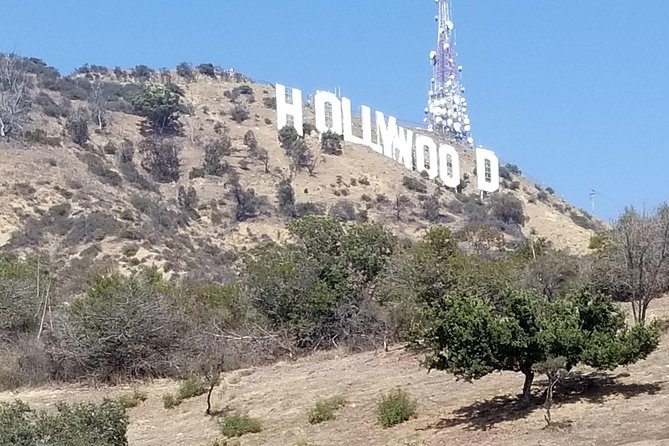 One Hour Private VIP Hollywood Tour - Review Highlights