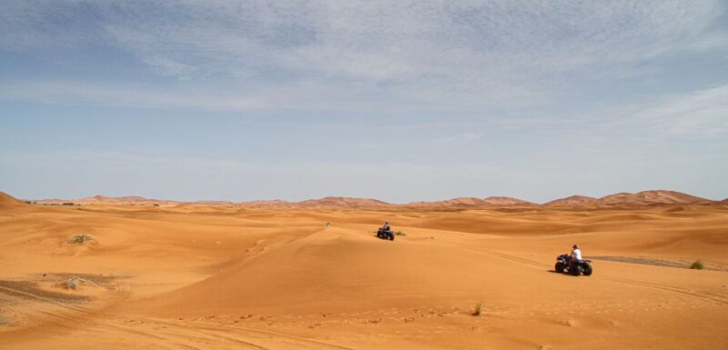 One Hour Sahara Desert Quad Biking Tour - Highlights and Experiences