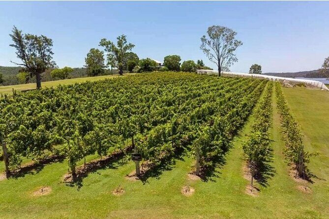 One Hump Camel Farm and Wine Tour - Frequently Asked Questions
