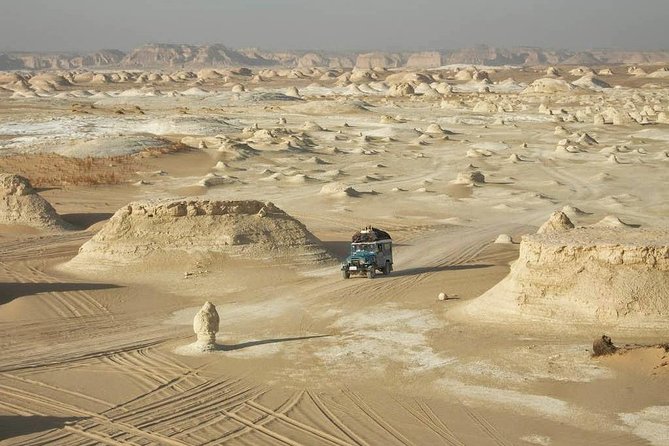 One Night Camping In White & Black Deserts Baharaya Oasis From Cairo - Meals and Beverages