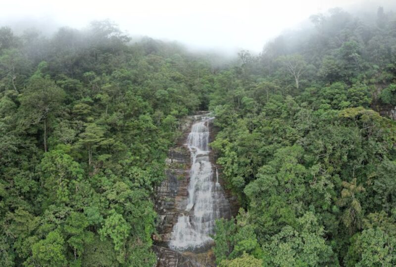 One Night Luxury Glamping in Kandy With Full Board - Transportation and Pickup Details