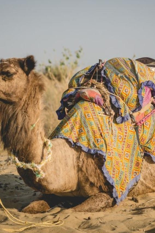 ONE NIGHT !N THE HEART OF GOLDEN DESERT - Itinerary and Activities