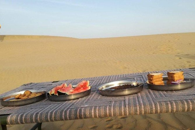 One Night One Day Desert Safari Tour - Tour Highlights