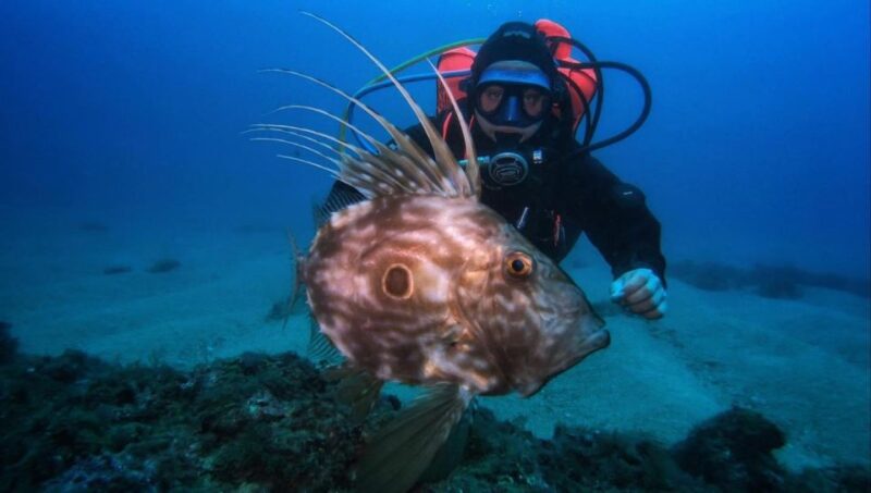 One Scuba Diving Day Trip to Costa Brava - Highlights of the Scuba Diving Experience