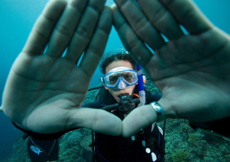 One Scuba Diving Day Trip to Costa Brava - Inclusion Details for the Scuba Diving Trip