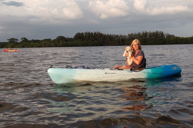 One Tandem Kayak Rental for 2 Hours With Manatee & Dolphin Sightings! - Encounter With Wildlife