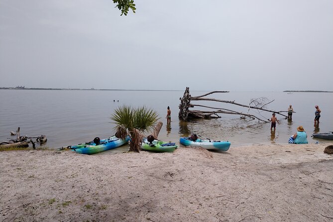 One Tandem Kayak Rental for 2 Hours With Manatee & Dolphin Sightings! - Meeting Point and Logistics