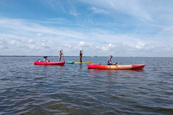 One Tandem Kayak Rental for 2 Hours With Manatee & Dolphin Sightings! - Accessibility and Participation Requirements