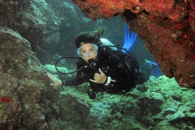 One Tank Boat Dive - Sea Turtles & Tropical Reef - Participant Requirements