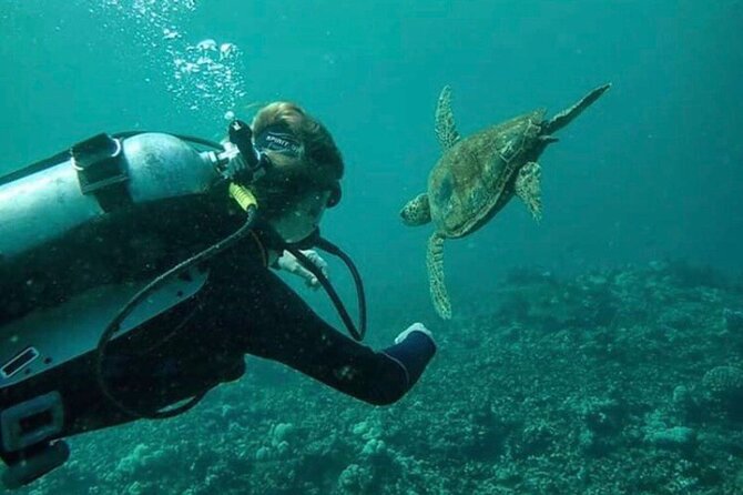 One Tank Boat Dive - Sea Turtles & Tropical Reef - Diving Safety Considerations