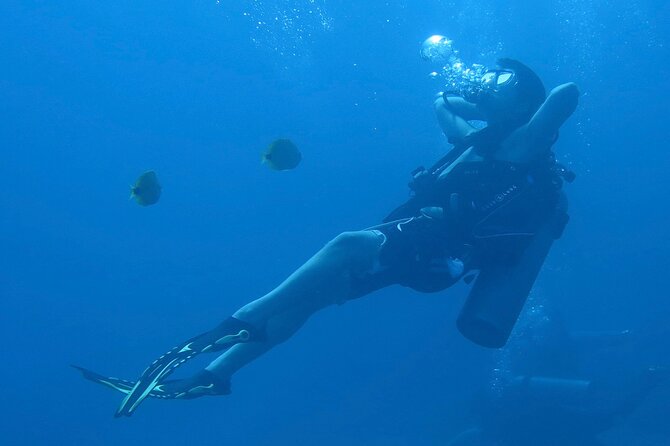 One Tank Boat Dive - Sea Turtles & Tropical Reef - Exploring the Tropical Reef