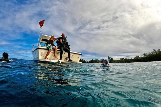 One Tank Boat Dive - Sea Turtles & Tropical Reef - Frequently Asked Questions