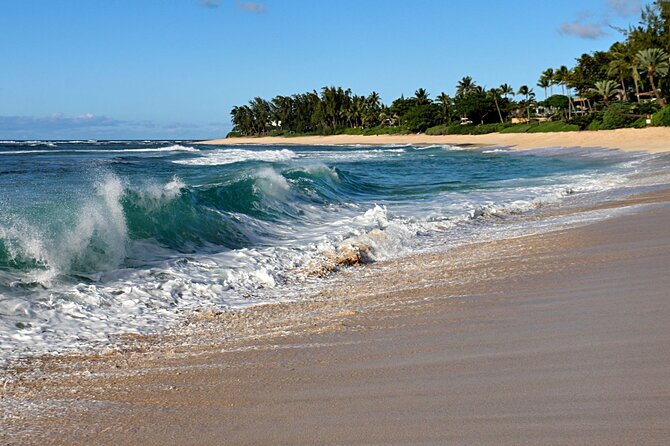 One Unforgettable Day: Experience Best of Oahu and Circle Island - Tour Details