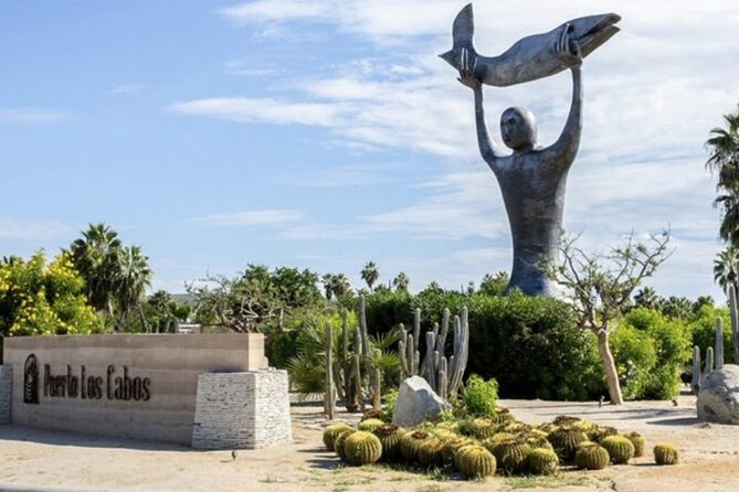 One Way Airport Transfer From Sjd-Hotel or Hotel-Sjd Cabo San Lucas Zone - Vehicle Options