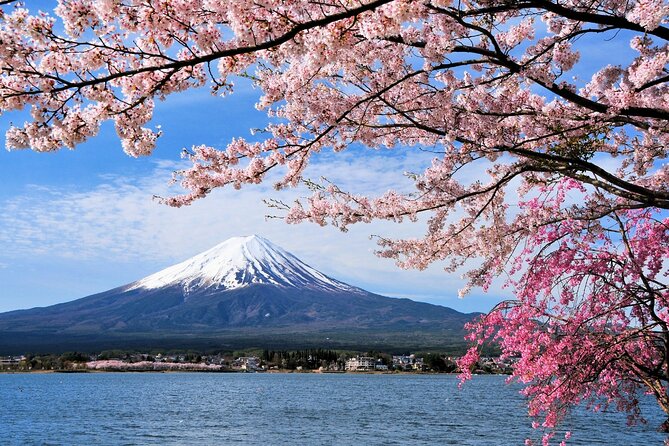 One-way Bus From Hirayu to Kawaguchiko - Key Points