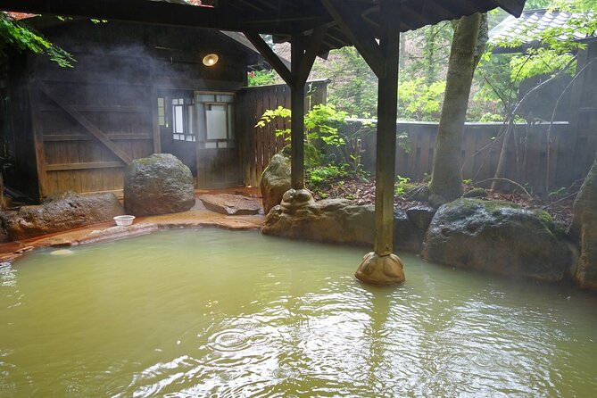 One Way Bus From Hirayu to Tokyo via Mt. Fuji 5th Station - What to Expect During the Journey