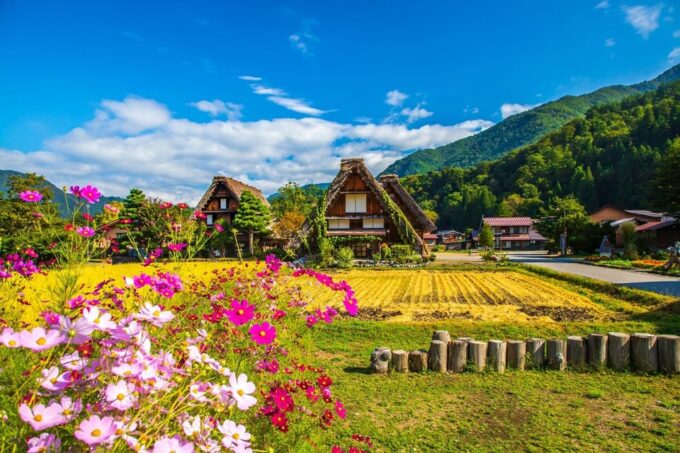 One-Way Bus Transportation From Kanazawa to Shirakawa-Go and Then to Takayama - Self-Guided Walking Tour in Shirakawa-go