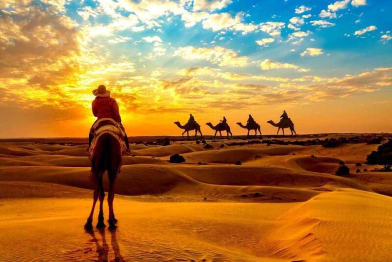 One Way City Transfer To/From Udaipur and Jaipur - Travel Experience