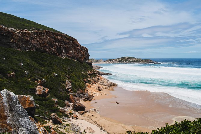 One-Way Hop-On Hop-Off Bus From Port Elizabeth to Cape Town - Accommodation Pickup and Drop-off