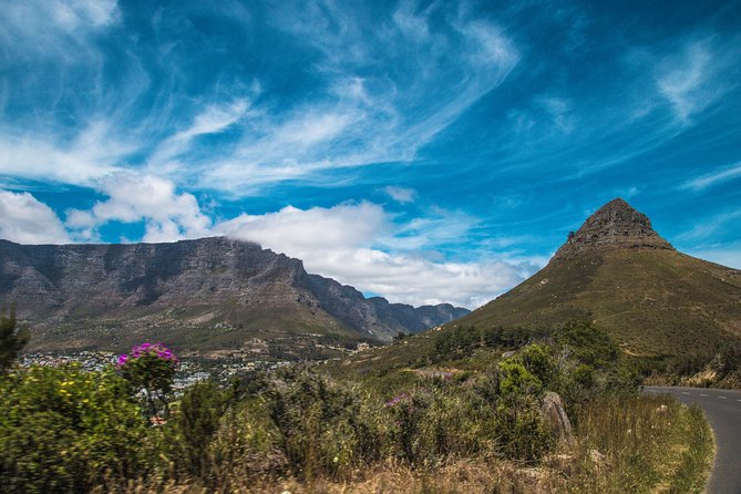 One-Way Hop-On Hop-Off Bus From Port Elizabeth to Cape Town - Itinerary Change Flexibility