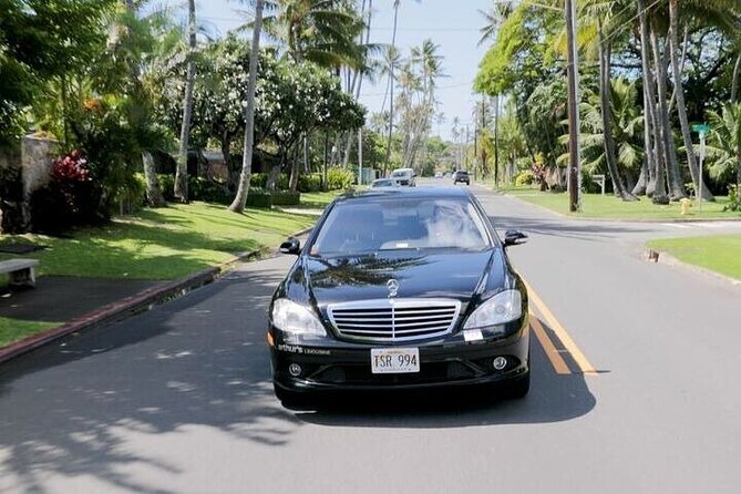 One-way Private Airport Transfer in San Francisco - Pickup and Waiting Policy