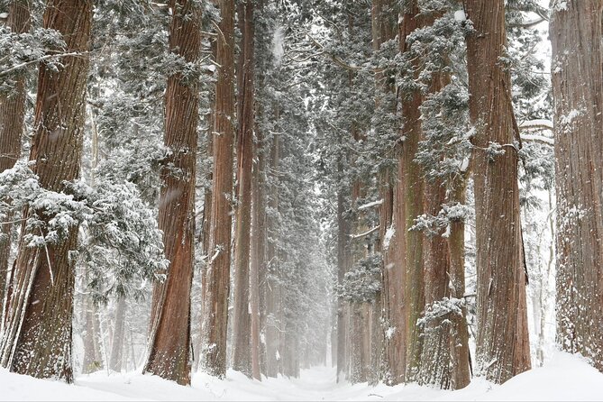 One Way Private Shuttle to Nagano Ski Centers - Wheelchair and Stroller Accessibility
