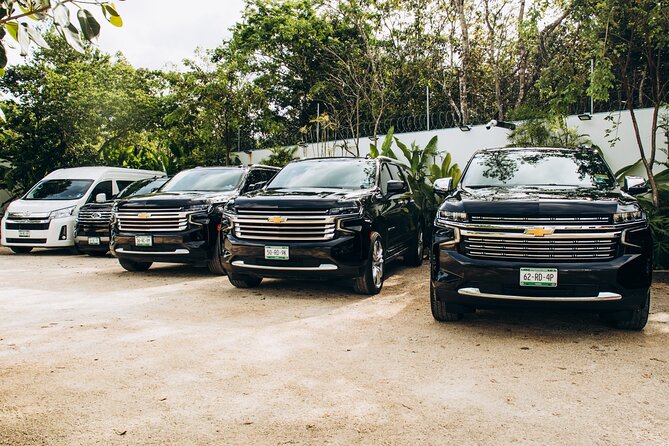 One Way Private Transfer Cancun Int Airport - Playa Del Carmen - Key Points