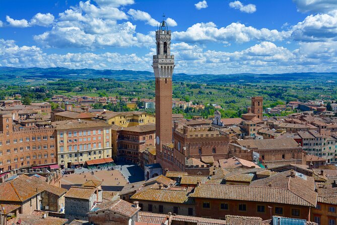 One Way Private Transfer: Florence to Rome With Visit to San Gimignano and Siena - Service Details Explained