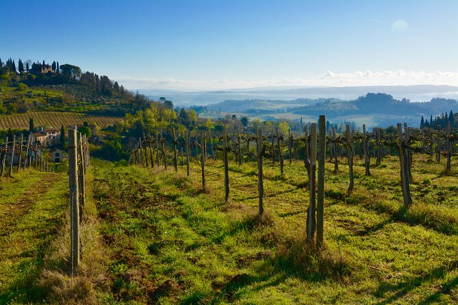 One Way Private Transfer: Florence to Rome With Visit to San Gimignano and Siena - Customer Reviews Highlights