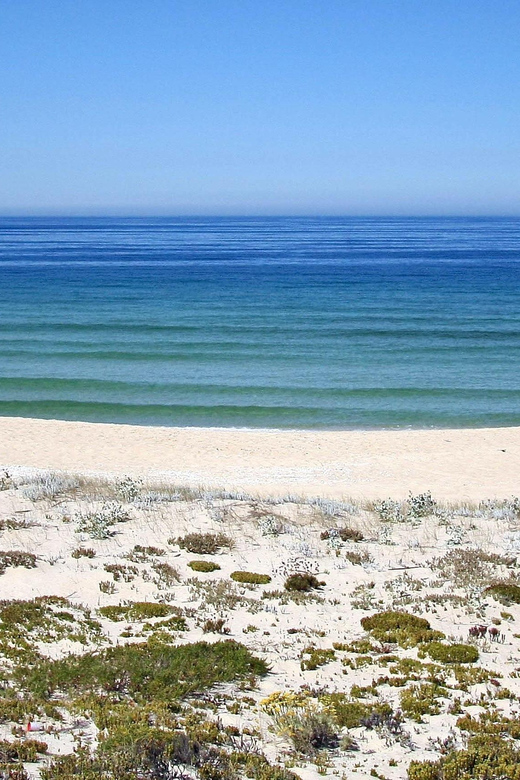 One-Way Private Transfer From Lisbon Airport to Comporta - Safety and Comfort