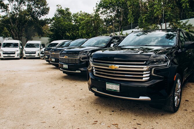 One Way Private Transfer Playa Del Carmen - Cancun Int Airport - Pickup and Drop-off