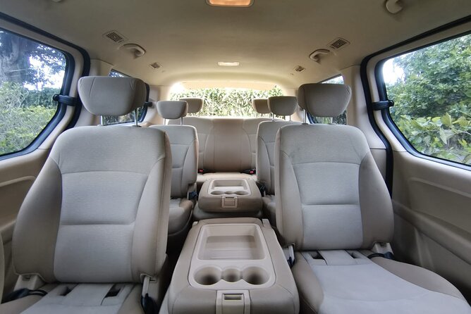 One-Way Private Transfer: SJO Airport To/From Uvita or Dominical - Accessibility and Additional Info