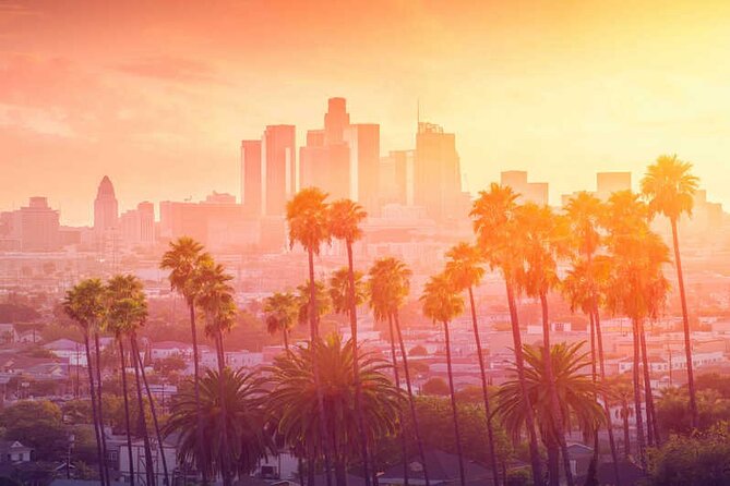 One-Way Private Transfers From/To Los Angeles Airport - Pickup and Drop-off Details