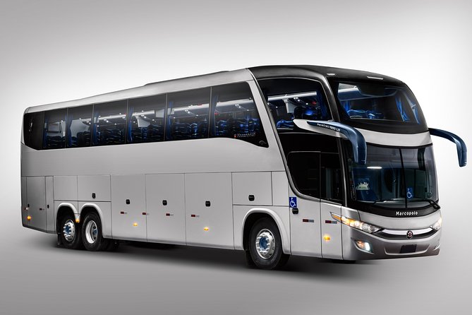 One Way Shared Transfer From Airport to Hotels in Manaus - Pricing and Booking